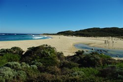 Mouth of the River