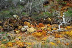 yellow and red rocks around the foreshore at Millers Point