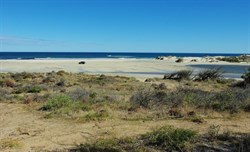 Greenough view