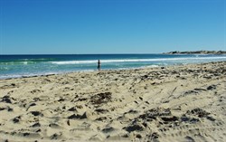 beach fishing at greenough