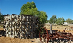 Drover's Rest area and memorial at Mingenew