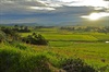 Rural Bliss.