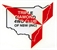Triple Diamond logo