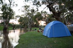 Come and Camp in the Bush by the Creek!
