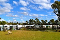 Caravan Park