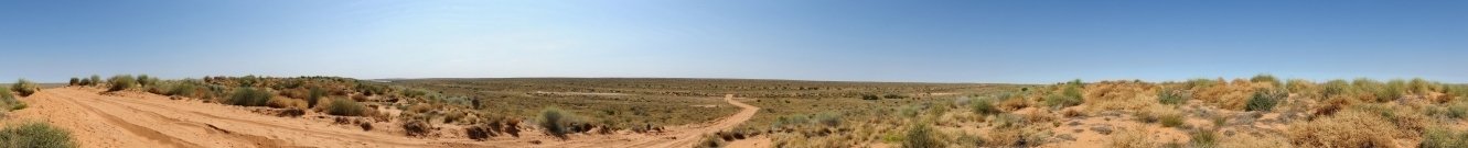 07 Aug 2011 Sand dune west of Birdsville - By: Hideya (vfr800hu)