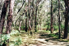 Blue Hole bush camps