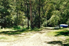 Bush Camp