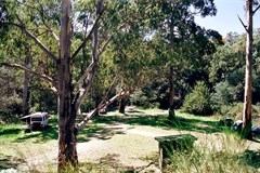 Picnic Point