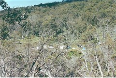 Holmes bush camp