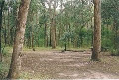 dermody camp