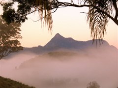 Mt Warning seen from Hillcrest