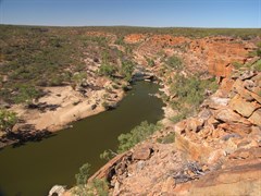 Murchison River