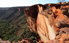 Rim Walk