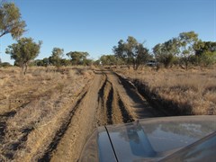 Local tracks - dry weather only.