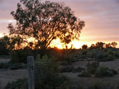 Coward Springs 