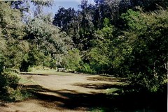 mckinnon point