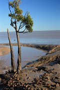 The tide is out.