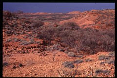 Alfred & Marie Range