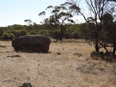 A  boulder