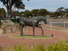 The town was named after the horse Norseman