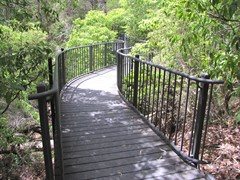 Tree level walkway to falls view