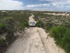 Lincoln NP