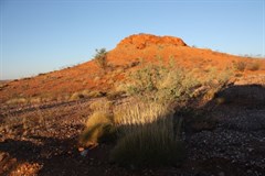 Scene inside the NP