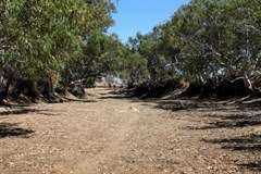 Dried out Rudall River                                          