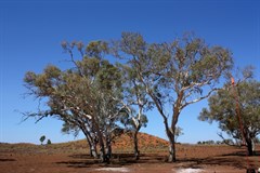 Near the hand pump at southern end