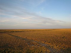 Well 51 landscape