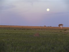 Well 51 sunset, moon rising - perfect timing