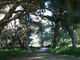 Swamp boardwalk