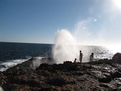 Thar she blows