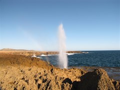 Blowhole