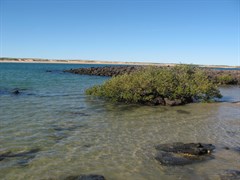 Middle Lagoon