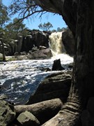 Nigretta Falls on the Wannon River  - Flowing beautifully at the moment (Dec 2010) great paddling and swimming spot upstream.