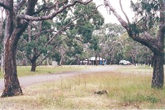 camp ground
