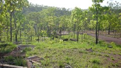 Camp Area
