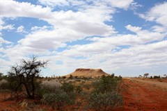 Mt Webb beside Gary Junction Road