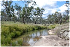 Dragonelly rockhole