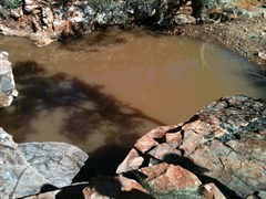 Christmas Pool