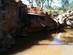Christmas Pool