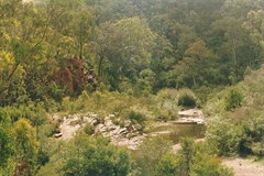 freestone cr