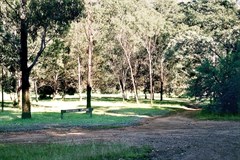 Knockwood reserve