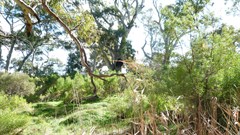 Burra Gorge Campgrounds 