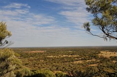 Swan Vale Rest Stop