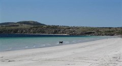 Farm Beach