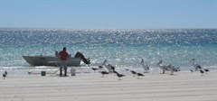 Farm Beach