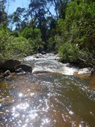 Gibraltar Creek - Woods Reserve, ACT